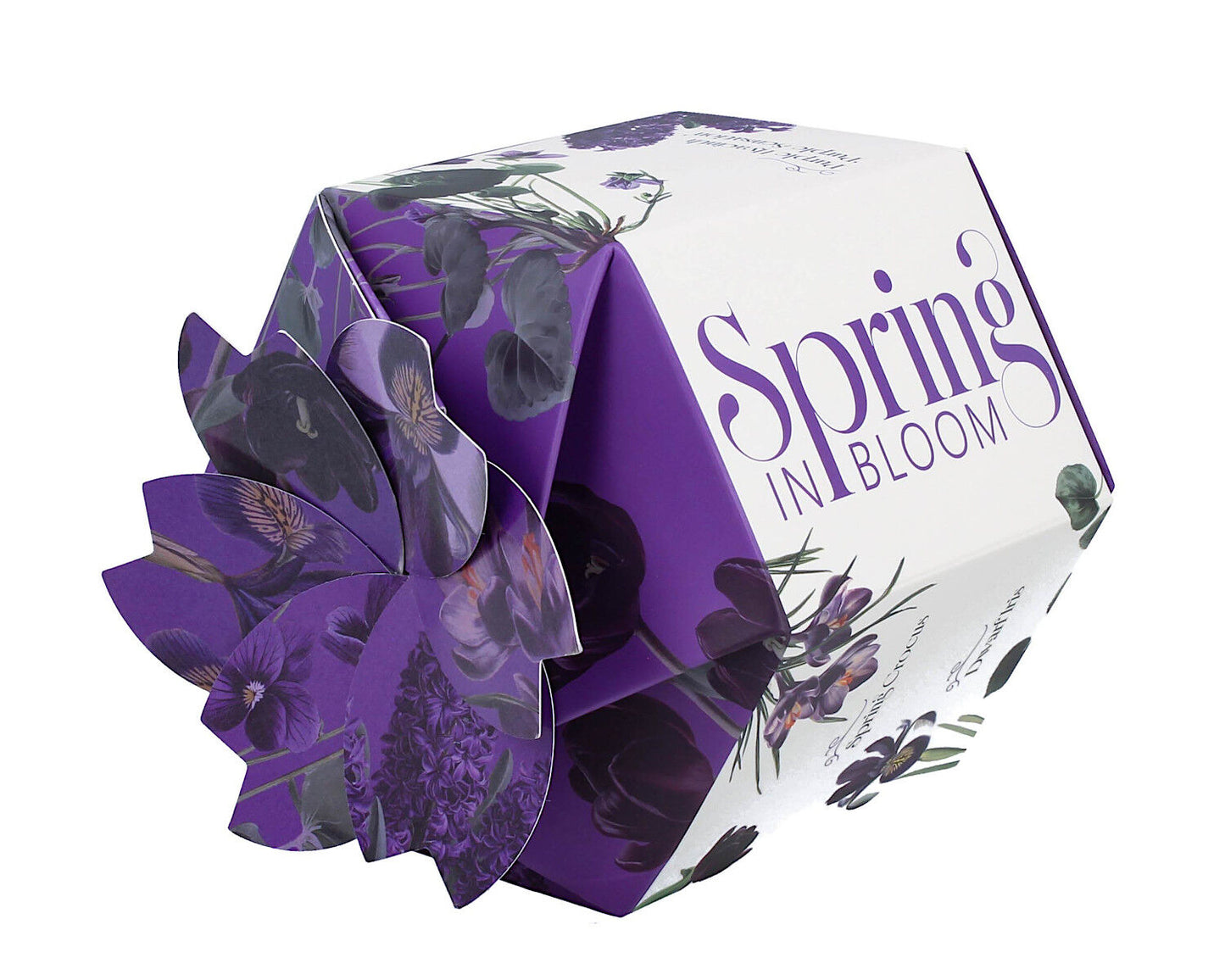 DUO Spring in bloom Becher 400 ml PURPLE FLOWERS in dekorativer Box, New Bone China Porzellan – Bild 4