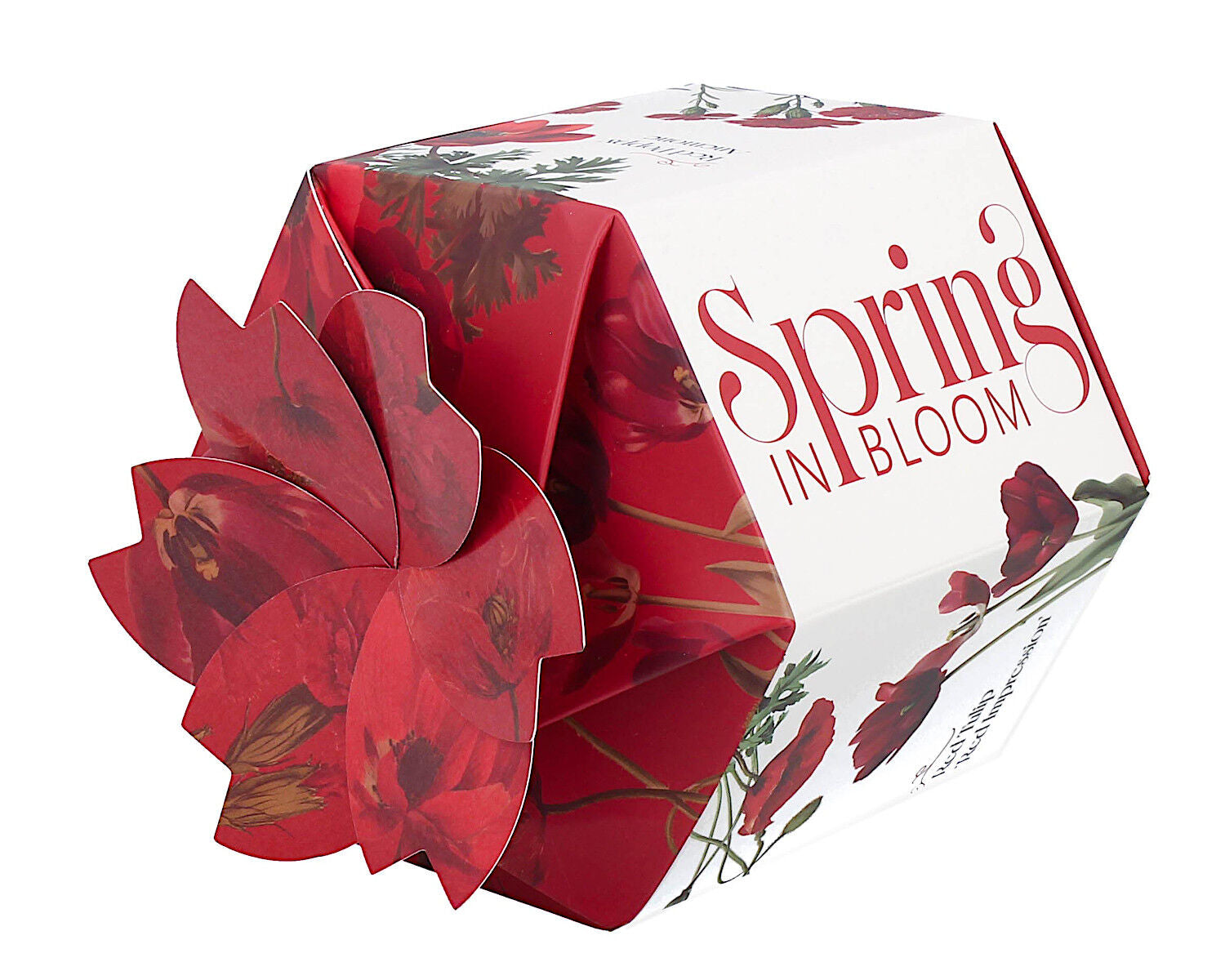 DUO Spring in bloom Becher 400 ml RED FLOWERS mit Teesieb und Deckel, New Bone China Porzellan – Bild 4