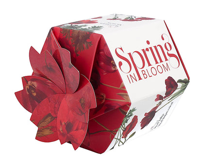 DUO Spring in bloom Becher 400 ml RED FLOWERS mit Teesieb und Deckel, New Bone China Porzellan – Bild 4