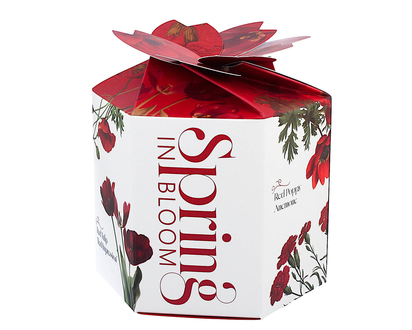 DUO Spring in bloom Becher 400 ml RED FLOWERS mit Teesieb und Deckel, New Bone China Porzellan