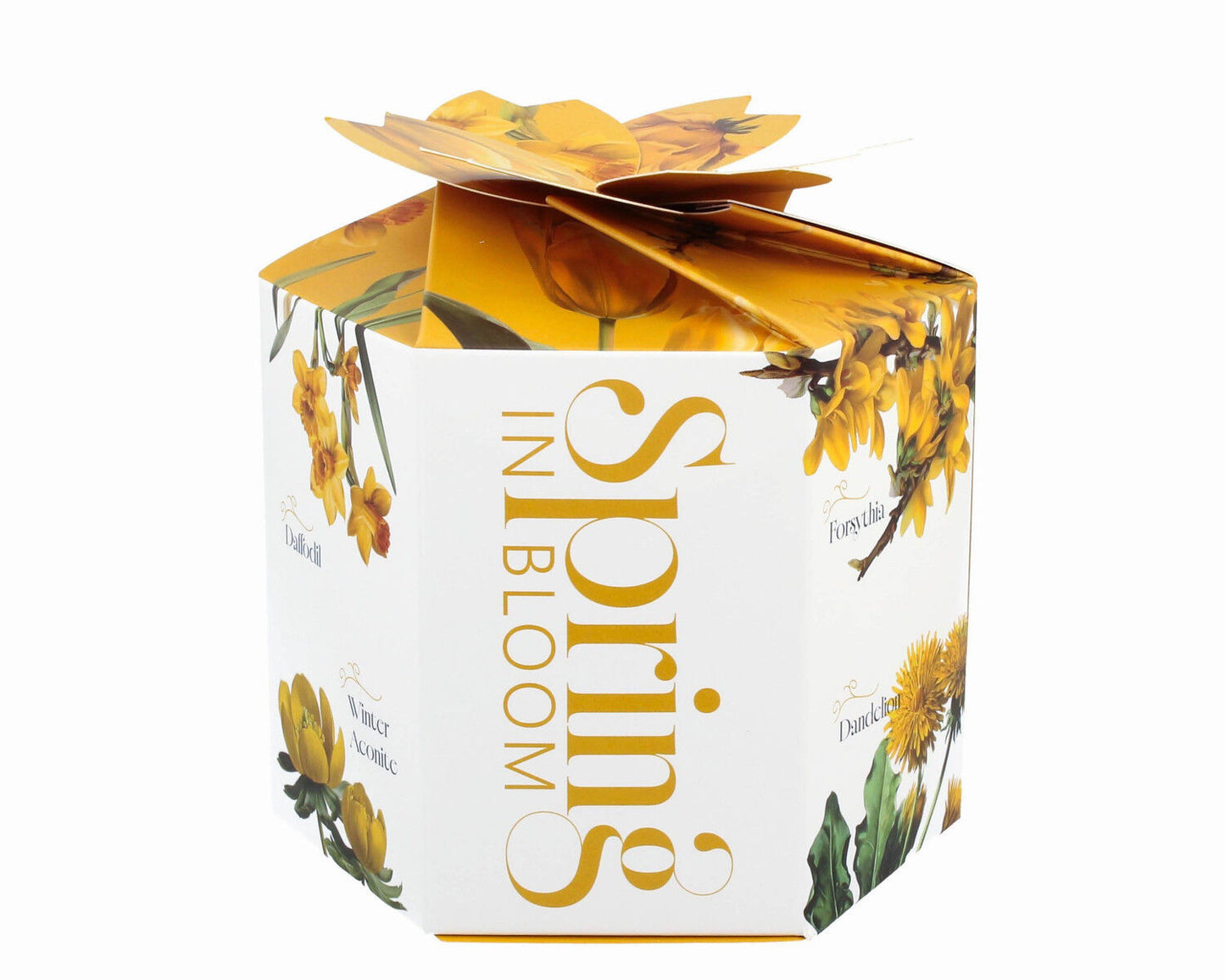 DUO Spring in bloom Becher 400 ml YELLOW FLOWERS mit Teesieb und Deckel, New Bone China Porzellan – Bild 7