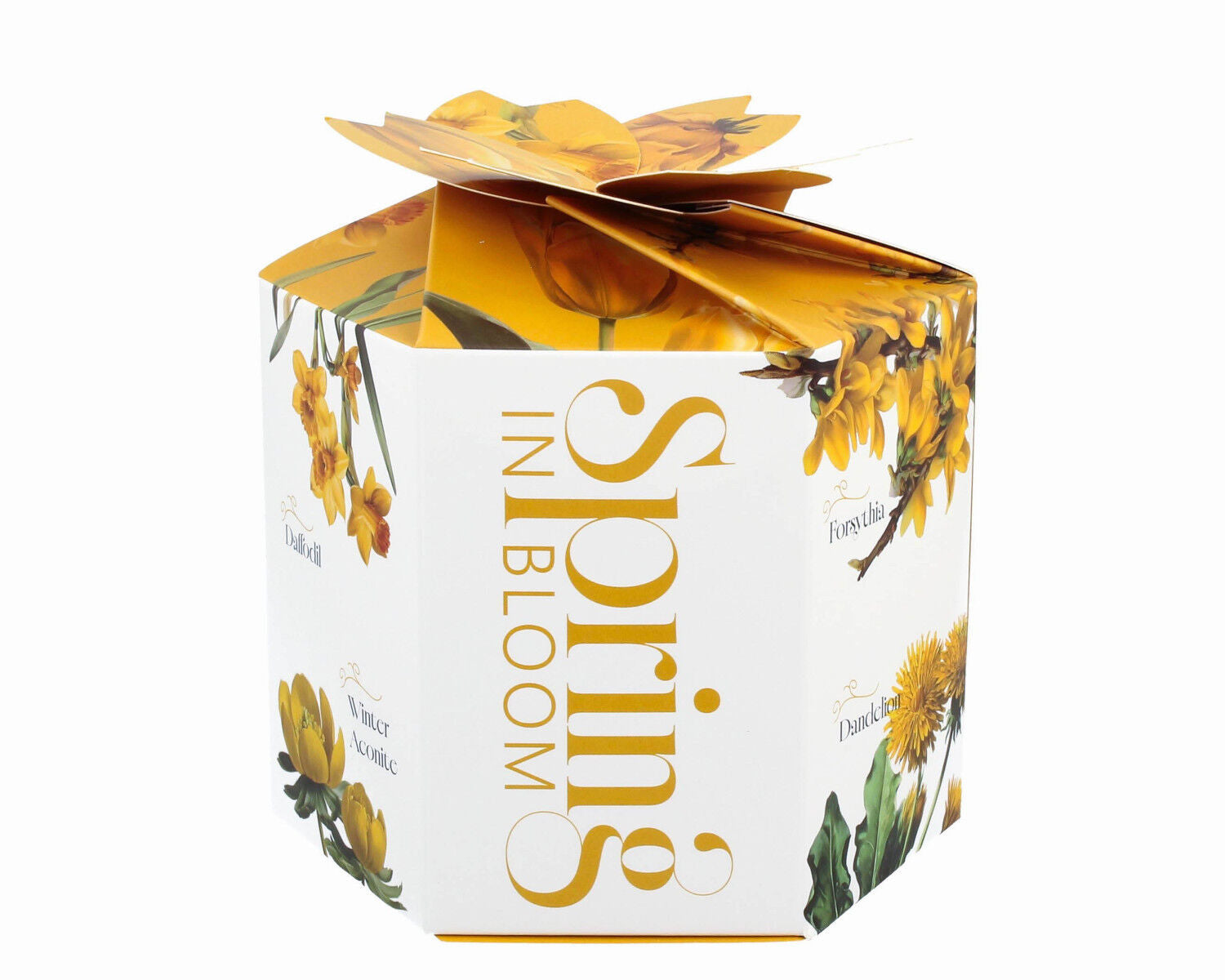 DUO Spring in bloom Becher 400 ml YELLOW FLOWERS mit Teesieb und Deckel, New Bone China Porzellan – Bild 7