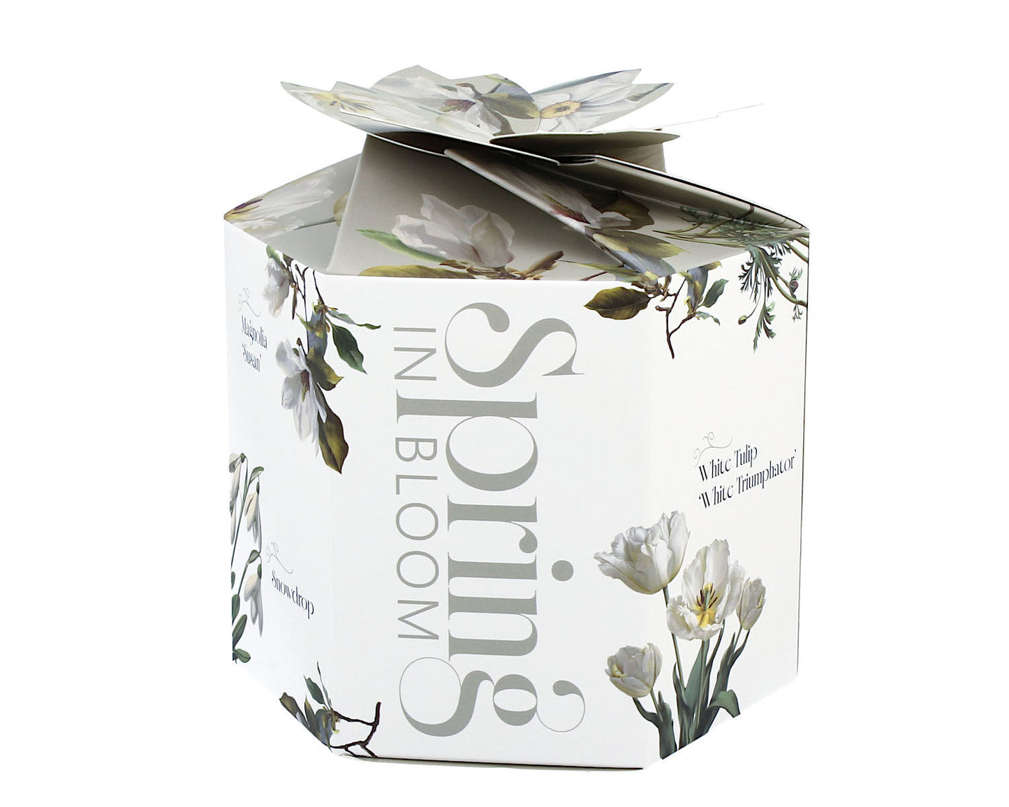 DUO Spring in bloom Becher 400 ml WHITE FLOWERS mit Teesieb und Deckel, New Bone China Porzellan – Bild 3