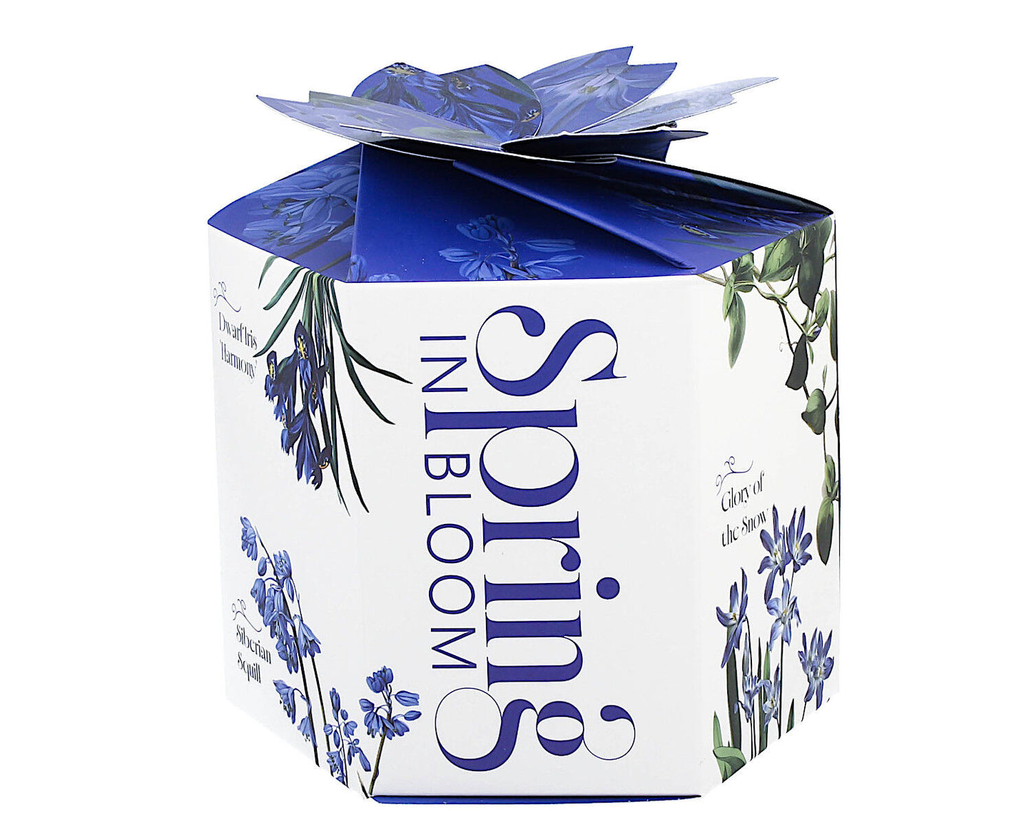 DUO Spring in bloom Becher 400 ml BLUE FLOWERS mit Teesieb und Deckel, New Bone China Porzellan – Bild 3
