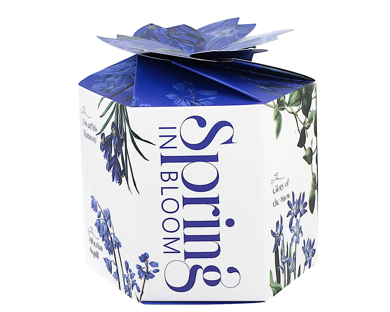 DUO Spring in bloom Becher 400 ml BLUE FLOWERS mit Teesieb und Deckel, New Bone China Porzellan – Bild 3
