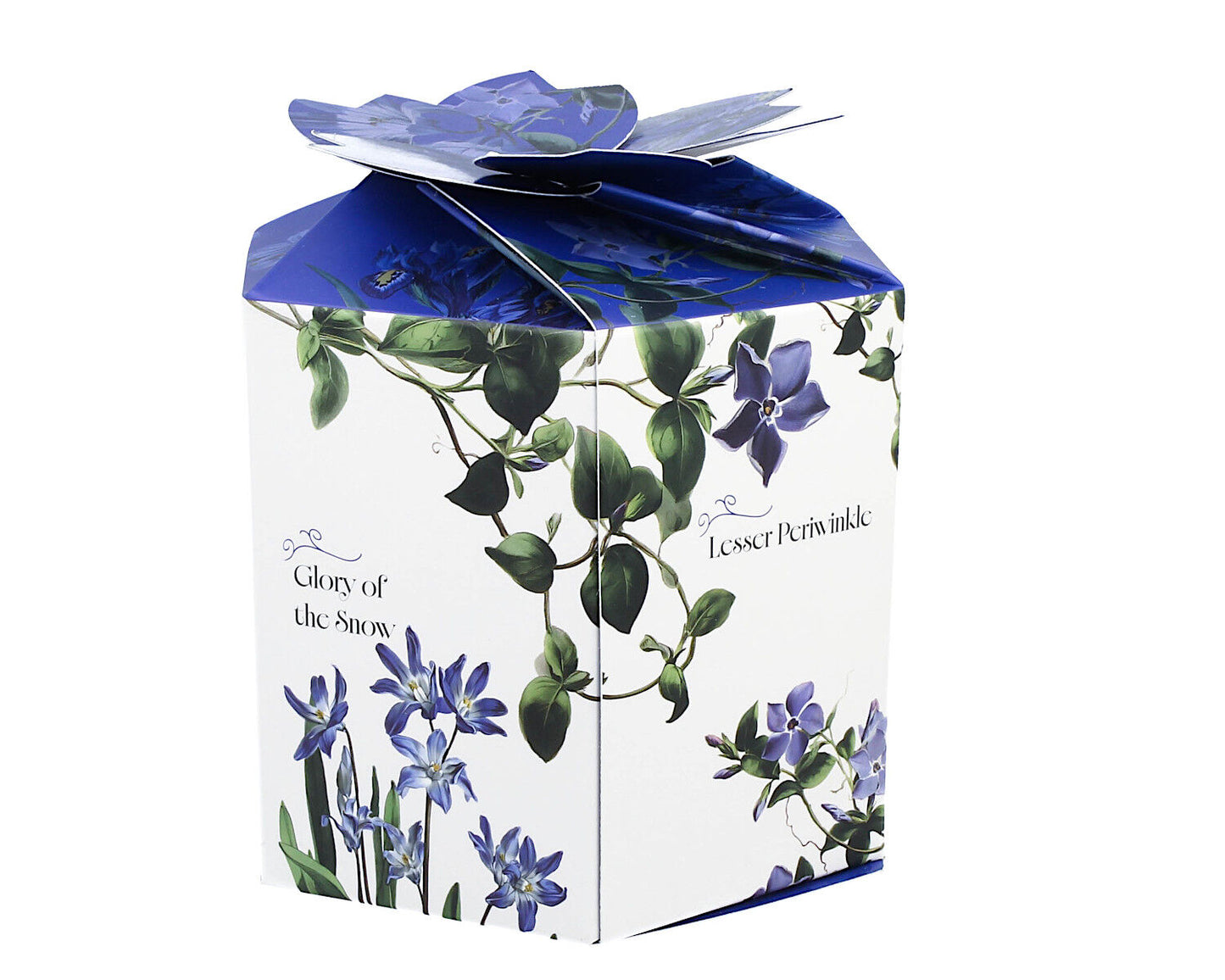 DUO Spring in bloom Becher 400 ml BLUE FLOWERS mit Teesieb und Deckel, New Bone China Porzellan – Bild 2