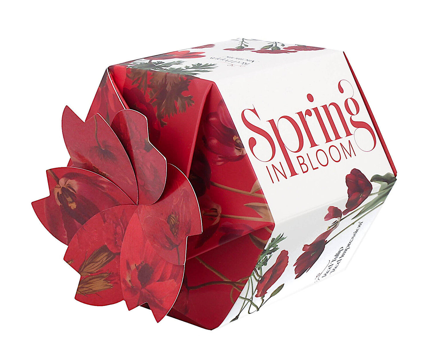 DUO Spring in bloom Becher 460 ml RED FLOWERS in dekorativer Box, New Bone China Porzellan – Bild 4