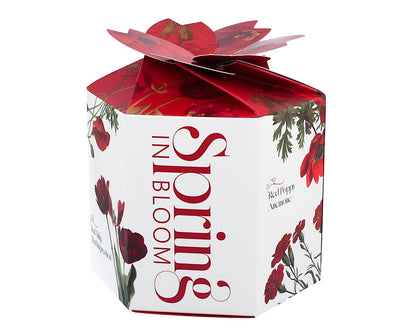 DUO Spring in bloom Becher 460 ml RED FLOWERS in dekorativer Box, New Bone China Porzellan – Bild 5