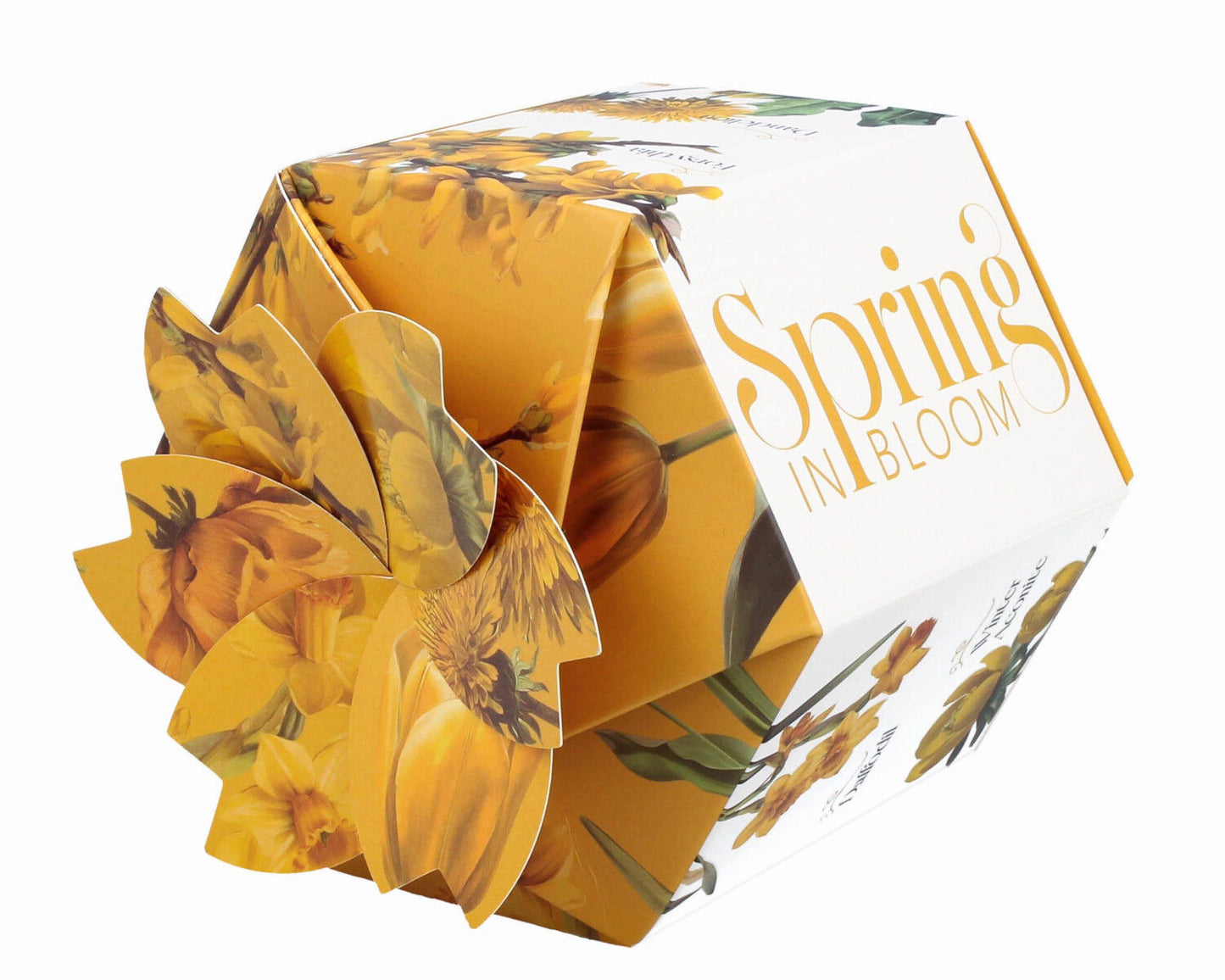 DUO Spring in bloom Becher 460 ml YELLOW FLOWERS in dekorativer Box, New Bone China Porzellan – Bild 5