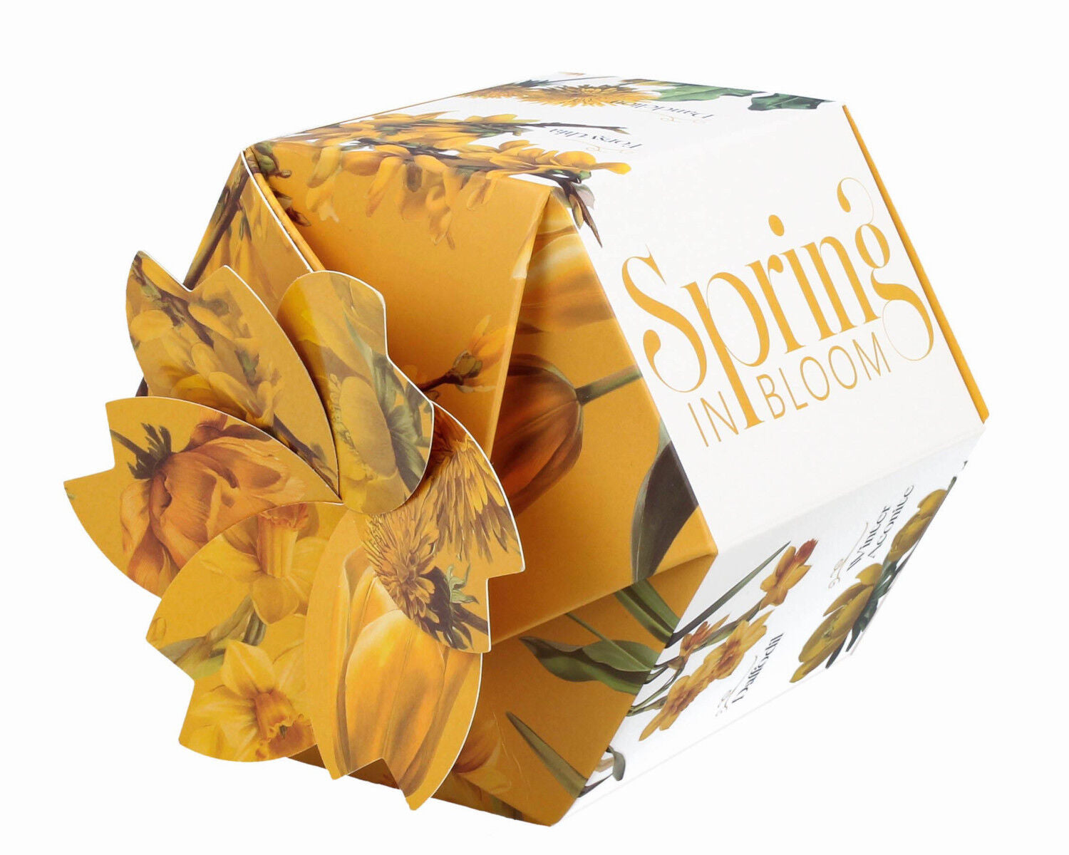 DUO Spring in bloom Becher 460 ml YELLOW FLOWERS in dekorativer Box, New Bone China Porzellan – Bild 5