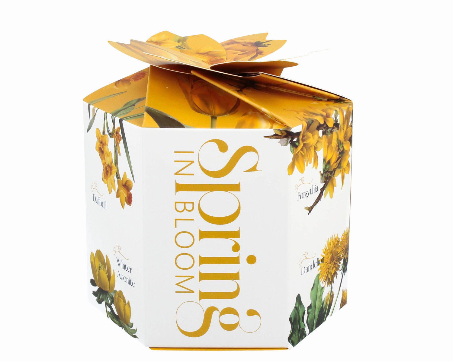 DUO Spring in bloom Becher 460 ml YELLOW FLOWERS in dekorativer Box, New Bone China Porzellan – Bild 6