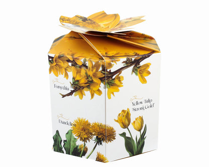 DUO Spring in bloom Becher 460 ml YELLOW FLOWERS in dekorativer Box, New Bone China Porzellan – Bild 9