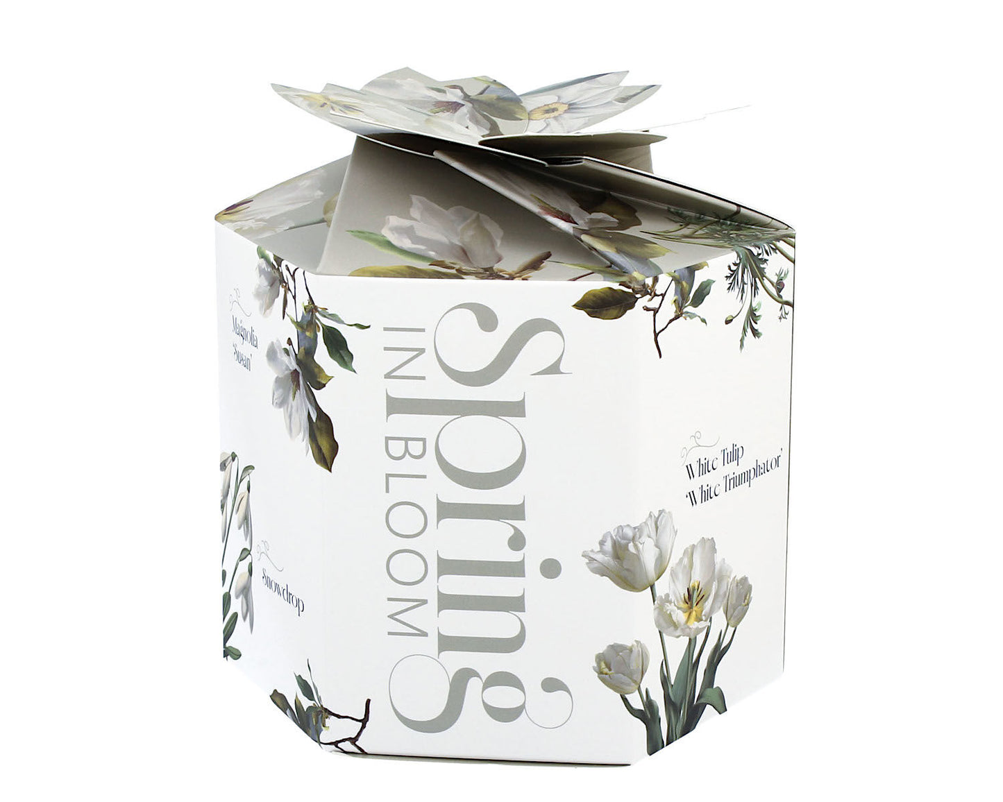 DUO Spring in bloom Becher 460 ml WHITE FLOWERS in dekorativer Box, New Bone China Porzellan – Bild 4