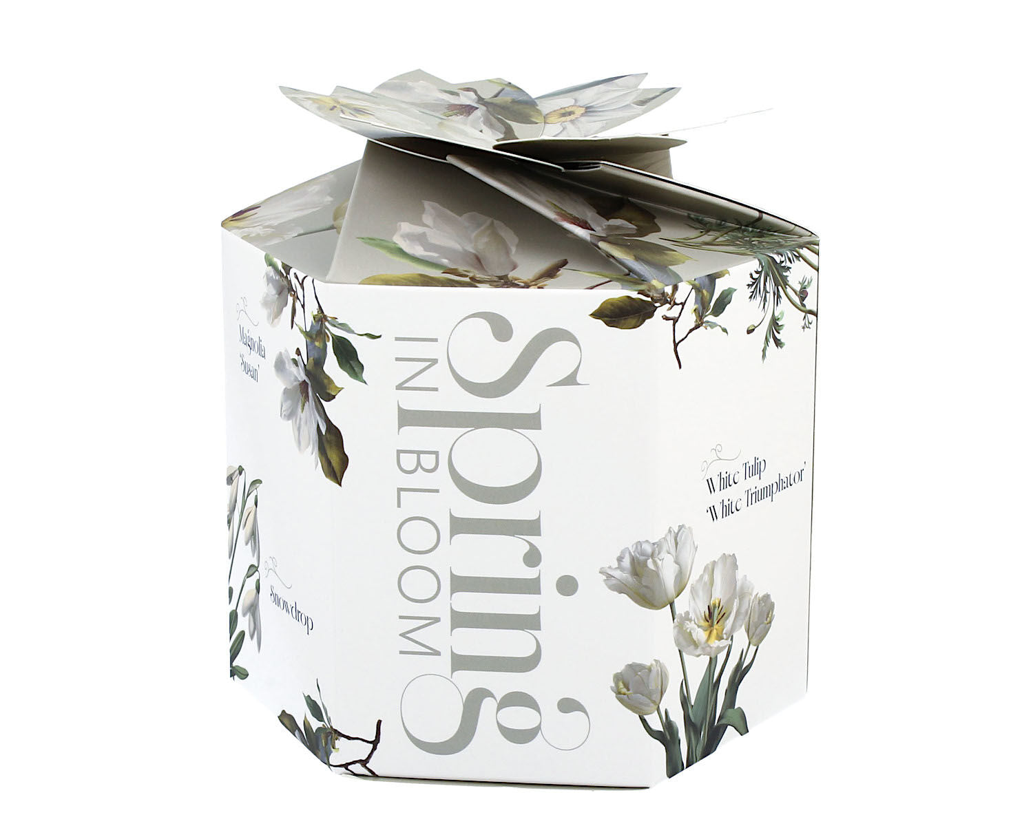DUO Spring in bloom Becher 460 ml WHITE FLOWERS in dekorativer Box, New Bone China Porzellan – Bild 4