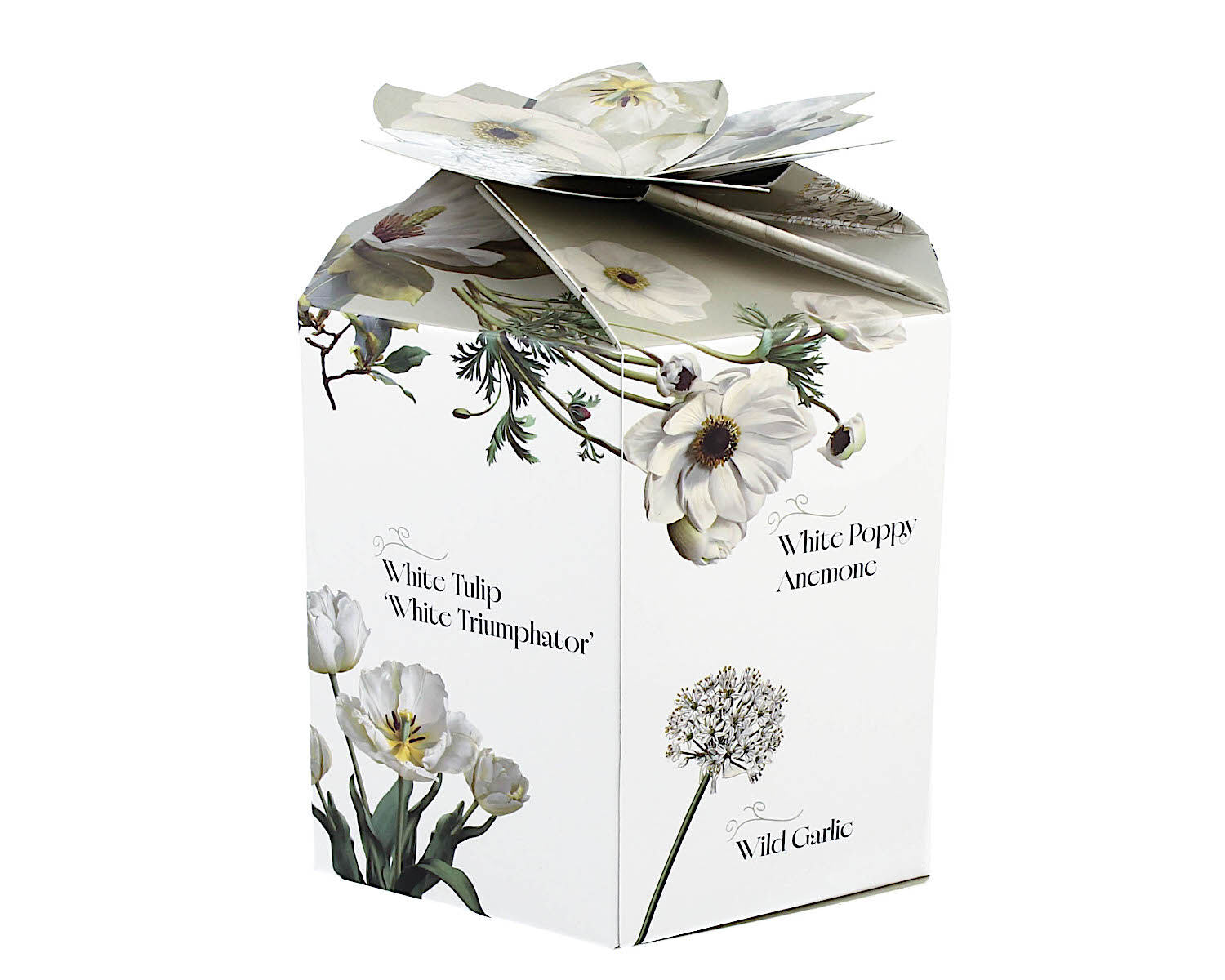 DUO Spring in bloom Becher 460 ml WHITE FLOWERS in dekorativer Box, New Bone China Porzellan – Bild 3