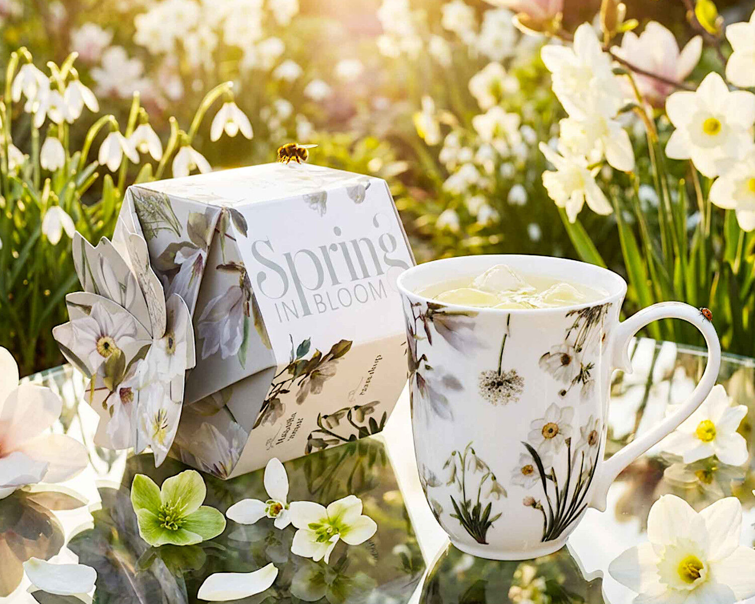 DUO Spring in bloom Becher 460 ml WHITE FLOWERS in dekorativer Box, New Bone China Porzellan