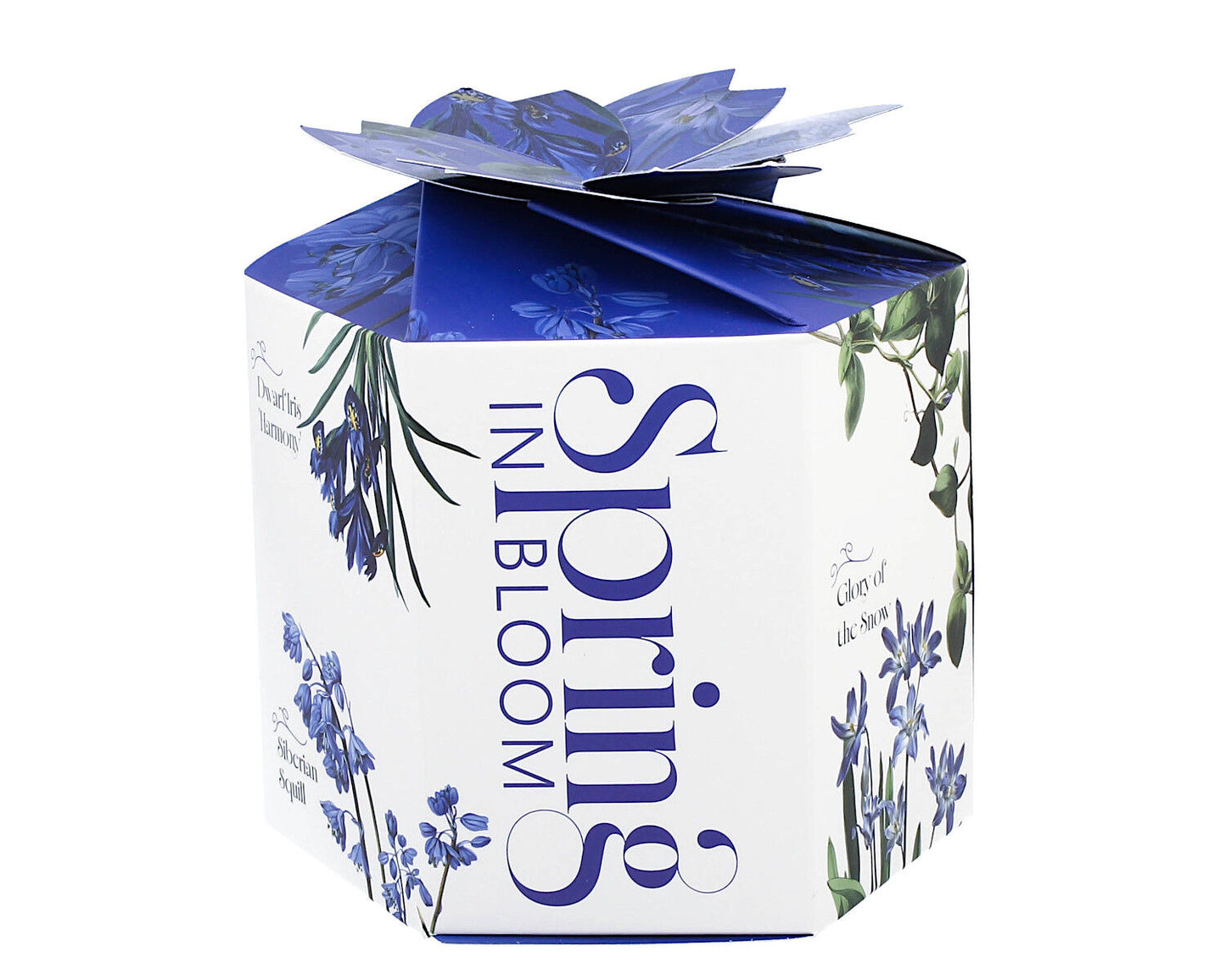 DUO Spring in bloom Becher 460 ml BLUE FLOWERS in dekorativer Box, New Bone China Porzellan – Bild 3