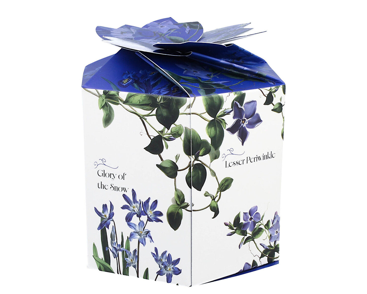 DUO Spring in bloom Becher 460 ml BLUE FLOWERS in dekorativer Box, New Bone China Porzellan – Bild 2