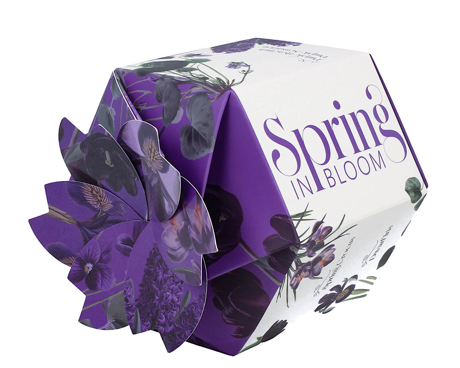 DUO Spring in bloom Becher 460 ml PURPLE FLOWERS in dekorativer Box, New Bone China Porzellan – Bild 5