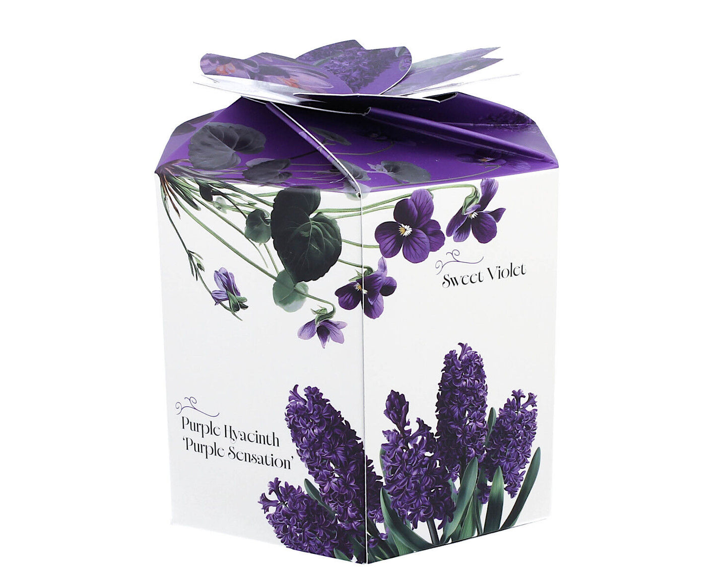 DUO Spring in bloom Becher 460 ml PURPLE FLOWERS in dekorativer Box, New Bone China Porzellan – Bild 3