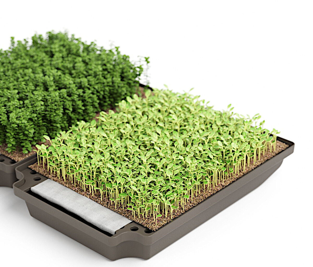 HAILO Micro Garden smartes Einbausystem zur Anzucht von Microgreens / ab Schrankbreite 60 cm – Bild 11