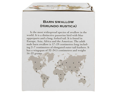 DUO World of Birds Becher 400 ml BARN SWALLOW (Rauchschwalbe) New Bone China Porzellan – Bild 5