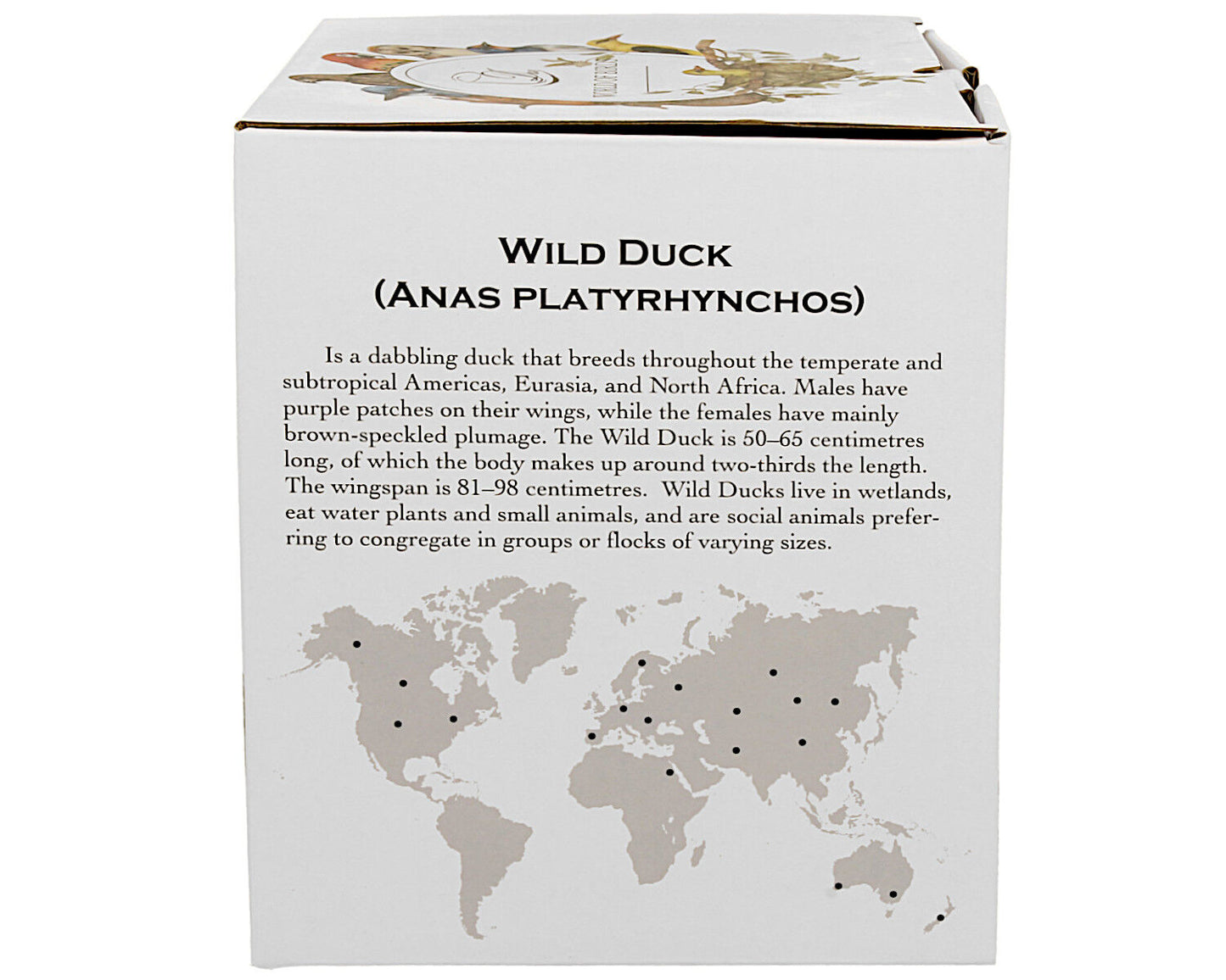 DUO World of Birds 400 ml Becher mit Teesieb WILD DUCK New Bone China Porzellan – Bild 7