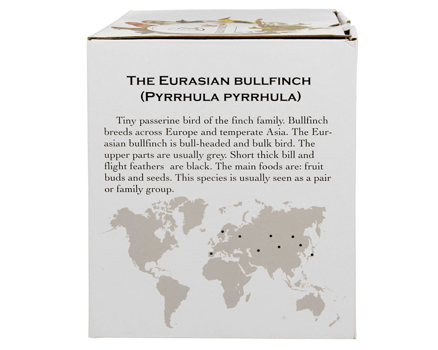 DUO World of Birds XXL Becher 1000 ml THE EURASIAN BULLFINCH New Bone China Porzellan – Bild 6