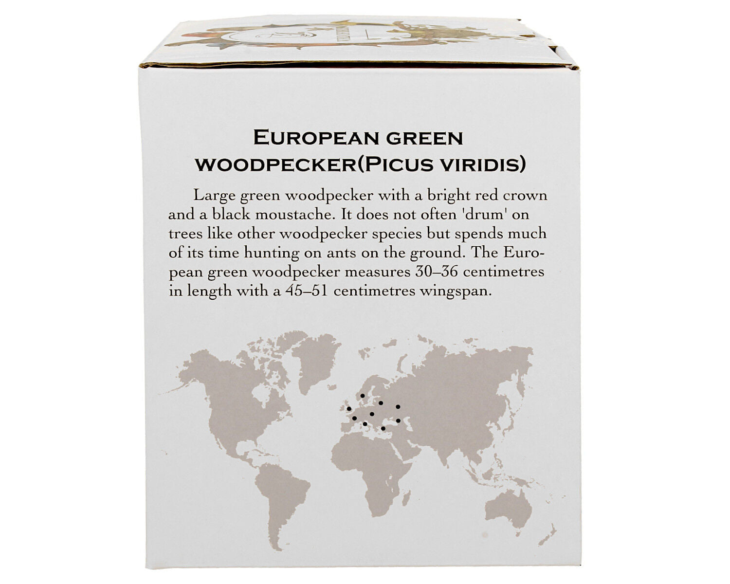 DUO World of Birds XXL Becher 1000 ml EUROPEAN GREEN WOODPECKER New Bone China Porzellan – Bild 6