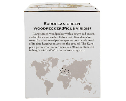 DUO World of Birds XXL Becher 1000 ml EUROPEAN GREEN WOODPECKER New Bone China Porzellan – Bild 6