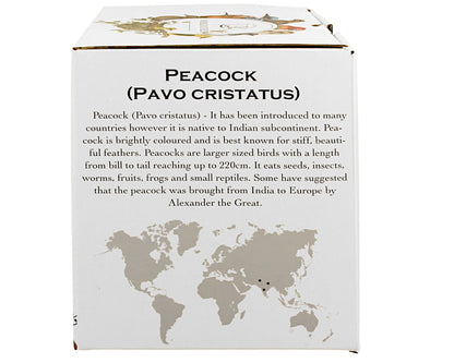 DUO World of Birds Becher 400 ml PEACOCK New Bone China Porzellan – Bild 6