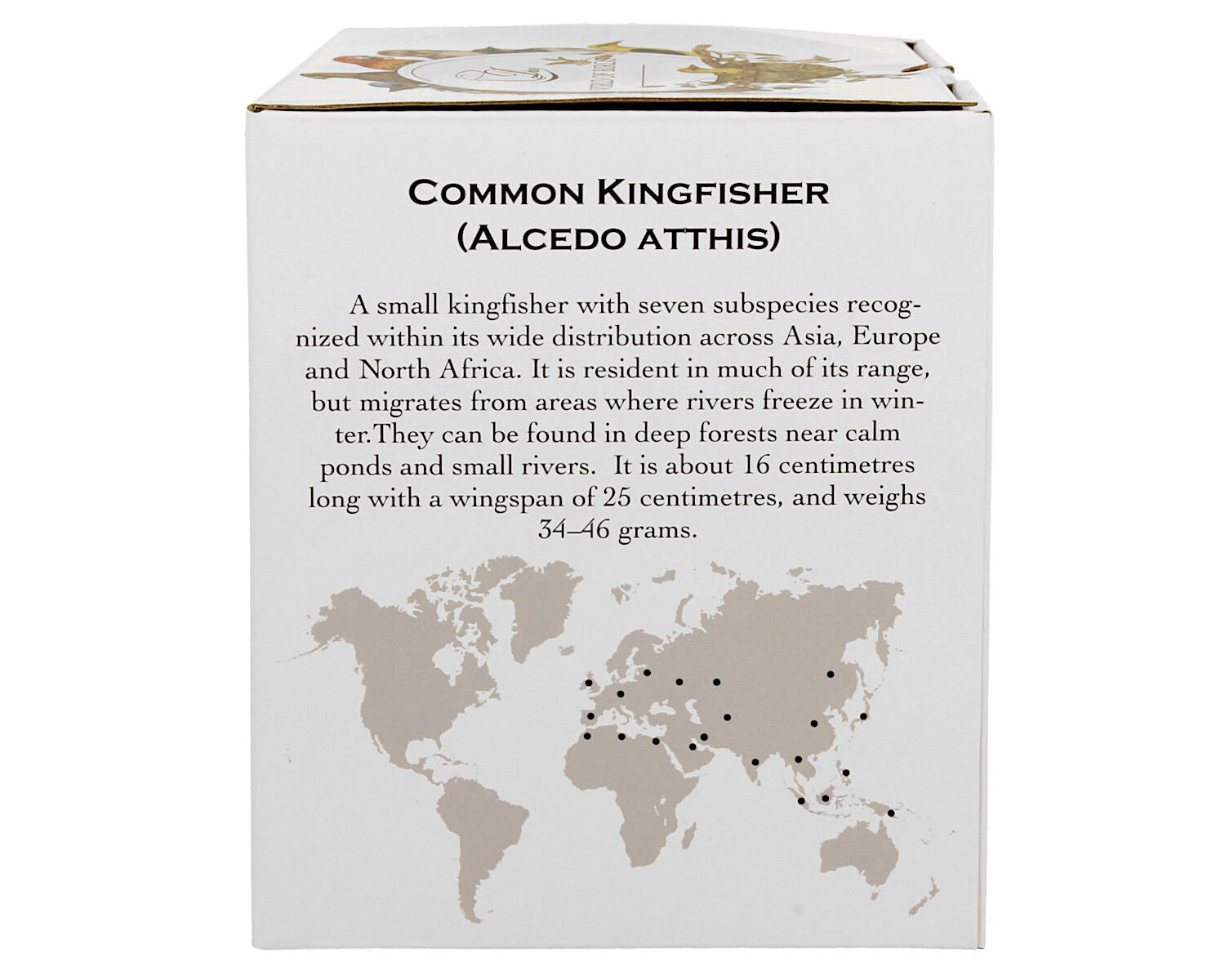 DUO World of Birds XXL Becher 1000 ml COMMON KINGFISHER (Eisvogel) New Bone China Porzellan – Bild 6