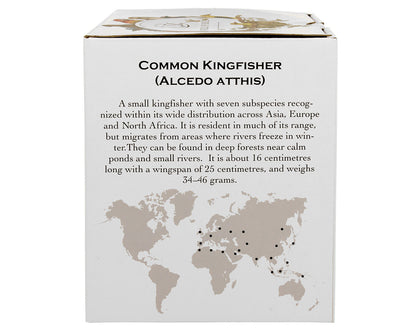 DUO World of Birds XXL Becher 1000 ml COMMON KINGFISHER (Eisvogel) New Bone China Porzellan – Bild 6