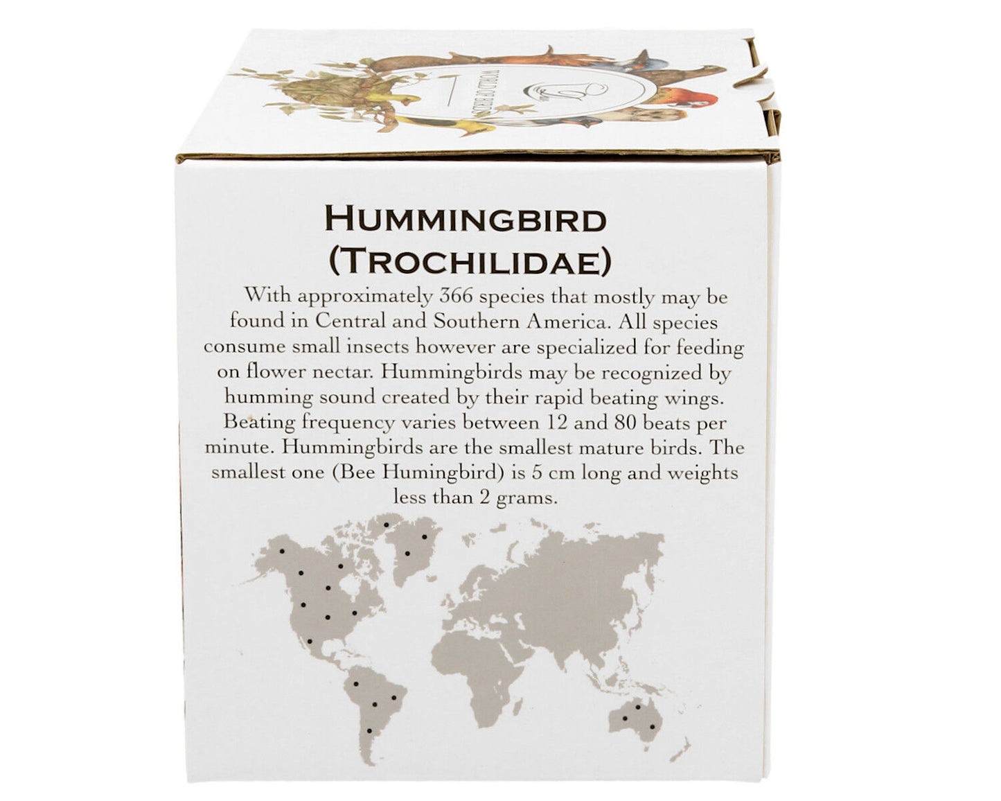 DUO World of Birds XXL Becher 1000 ml HUMMINGBIRD New Bone China Porzellan – Bild 6