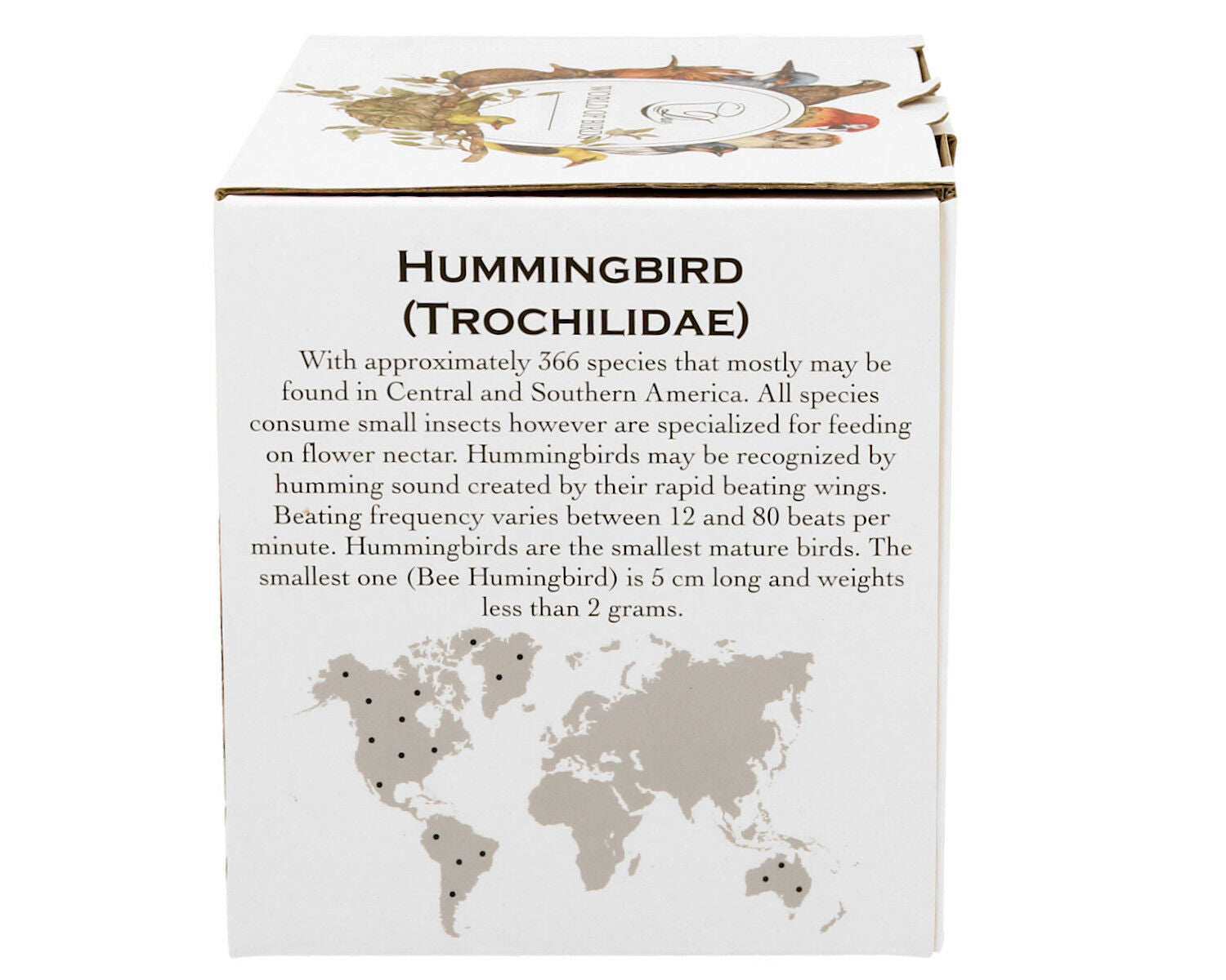 DUO World of Birds XXL Becher 1000 ml HUMMINGBIRD New Bone China Porzellan – Bild 6