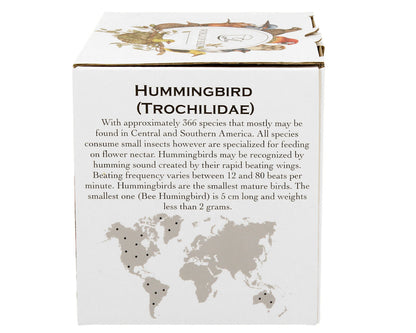 DUO World of Birds XXL Becher 1000 ml HUMMINGBIRD New Bone China Porzellan – Bild 6