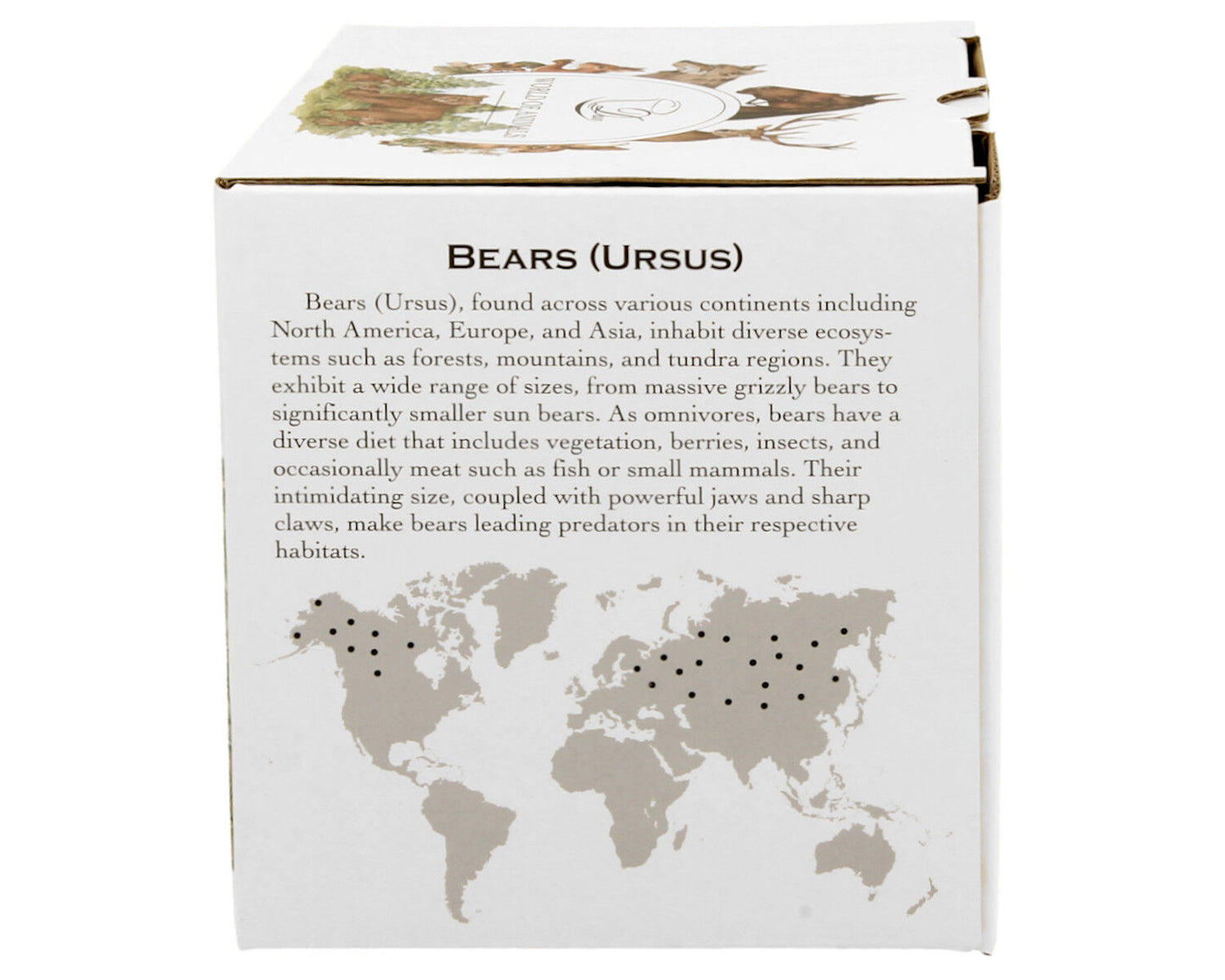 10er SET DUO WORLD OF ANIMALS Becher 400 ml BEARS New Bone China Porzellan – Bild 5