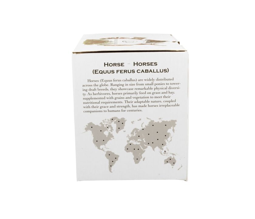 DUO World of Animals PFERD (Bay Horse) 400 ml Becher New Bone China Porzellan – Bild 3
