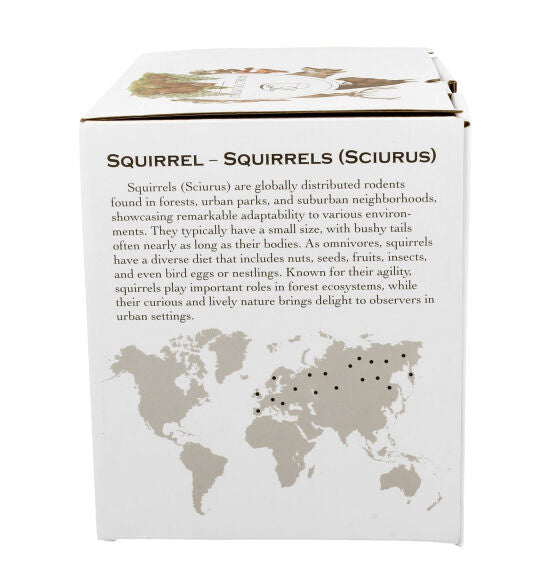 DUO World of Animals Eichhörnchen (Squirrel) 400 ml Becher mit Teesieb New Bone China Porzellan – Bild 4