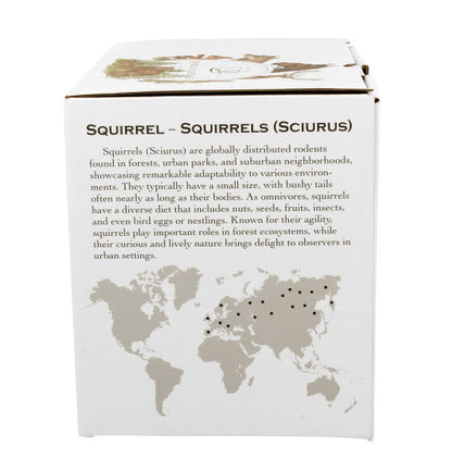 DUO World of Animals Eichhörnchen (Squirrel) 400 ml Becher mit Teesieb New Bone China Porzellan – Bild 4